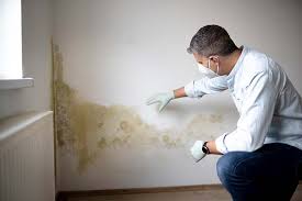 Best Mold Remediation for Healthcare Facilities  in Brookdale, SC